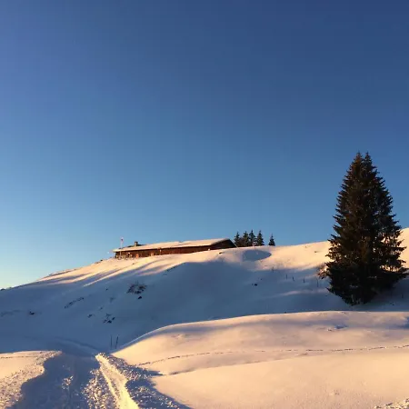 Wintertraum Im Allgau Alpine Und Deluxe Sonnenwinkel, 4 Sterne Klassifiziert, Wlan Gratis, Grosser Balkon Mit Bergsicht, Ruhig Und Doch Zentral Gelegen, Neu Renovierte Ferienwohnung Mit Separaten Schlafzimmer, Brotchenservice, Hunde Auf Anfrage, Park Apartmán Obermaiselstein