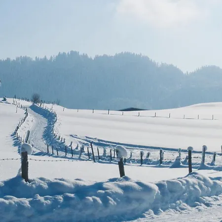 Wintertraum Im Allgau Alpine Und Deluxe Sonnenwinkel, 4 Sterne Klassifiziert, Wlan Gratis, Grosser Balkon Mit Bergsicht, Ruhig Und Doch Zentral Gelegen, Neu Renovierte Ferienwohnung Mit Separaten Schlafzimmer, Brotchenservice, Hunde Auf Anfrage, Park